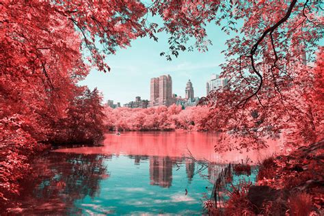 New York Central Park With Infrared Lens Mostbeautiful