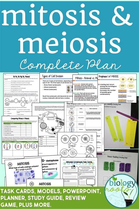 Cell Division Mitosis And Meiosis Bundle Supports Distance Learning