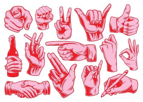 Collection Of Illustrated Hand Signs Premium Vector Illustration