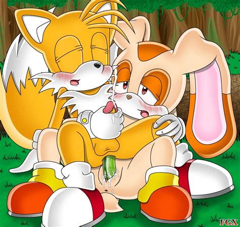 271320 Cream The Rabbit Sonic Team Tails Holy Shit Thats