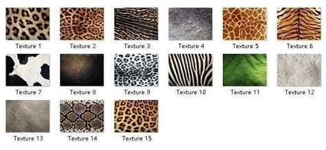 15 Hd Jpegs Animal Textures Texture Cgtrader