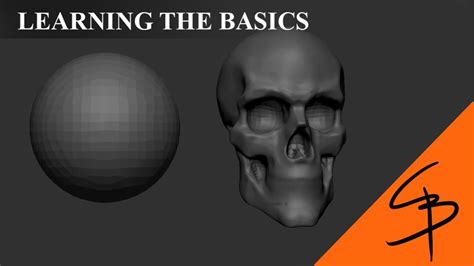 Zbrush For Beginners Sculpting A Skull Youtube