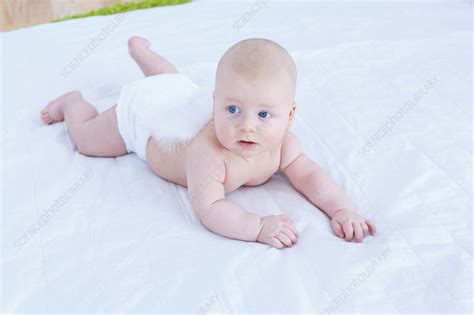 Baby Boy Crawling Stock Image F0213757 Science Photo Library