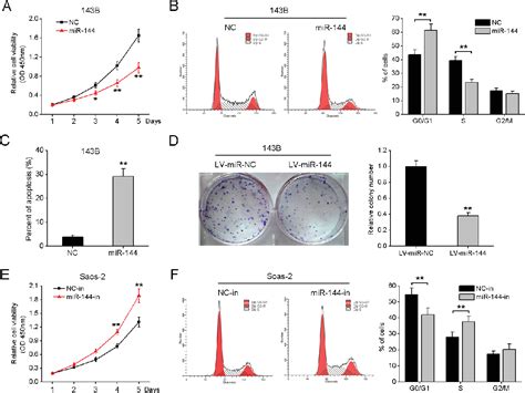 figure 2 from microrna 144 suppresses osteosarcoma growth and metastasis by targeting rock1 and
