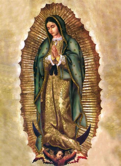 Our Lady Of Guadalupe The Virgin Of Guadalupe Virgem De Guadalupe