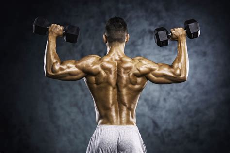 15 Dumbbell Exercises For Back Workouts For Muscle And Strength