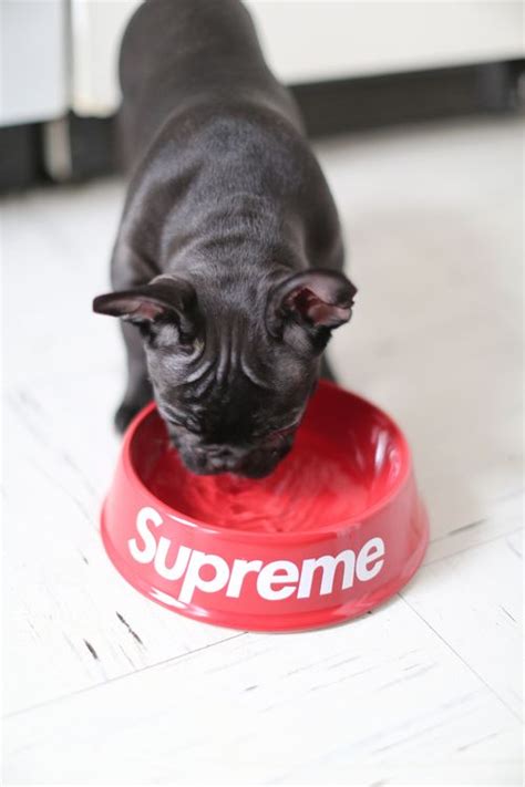17 Best Images About Supreme Nyc On Pinterest Supreme Hat