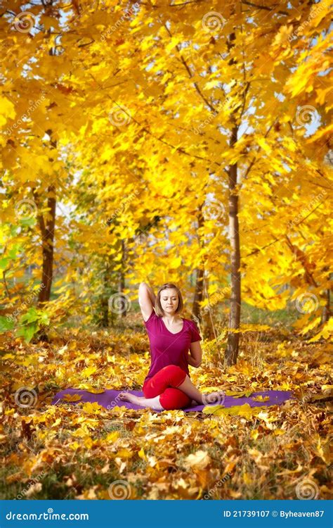 Yoga In Autumn Stock Image Image Of Mind Leaves Flexible 21739107