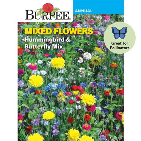 Burpee Hummingbird And Butterfly Mix Mixed Flower Seed 1 Pack Walmart