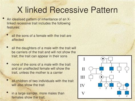 PPT Linked Genes Sex Linkage And Pedigrees PowerPoint Presentation