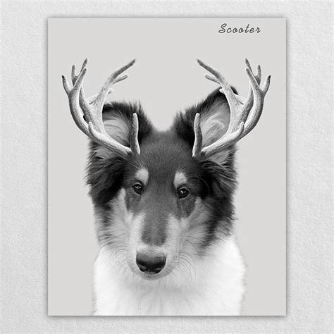 Custom Elk Antlers Wonder Pet Portraits