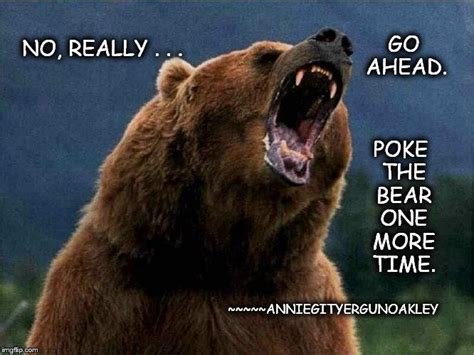 The Bear Truth Bear Quote Poke The Bear Bear