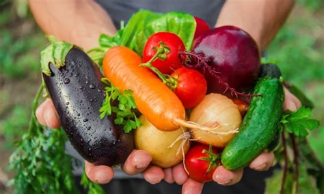 10 Easiest Vegetables To Grow In Your Garden Smart Tips