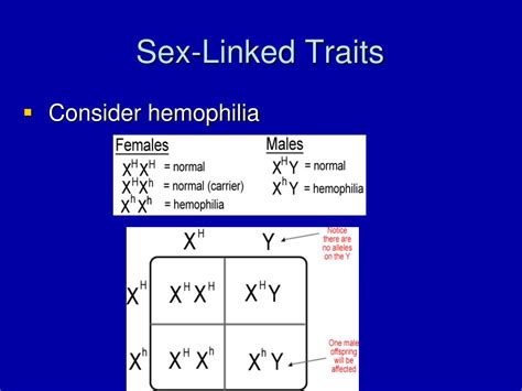 ppt sex linked traits pedigree charts powerpoint my xxx hot girl