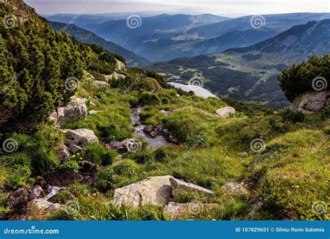 Wilderness Of The Carpathian Mountains Stock Image Image Of Valley