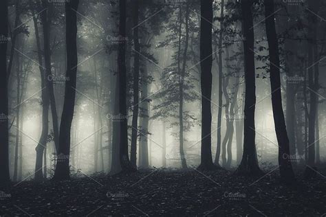 Dark Haunted Forest At Night Containing Dark Haunted And Mysterious Night Forest Haunted