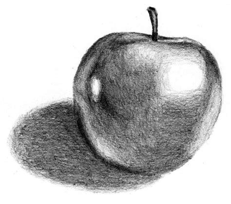 A Shiny Apple Sketch Sketching Techniques Drawing Apple Apple