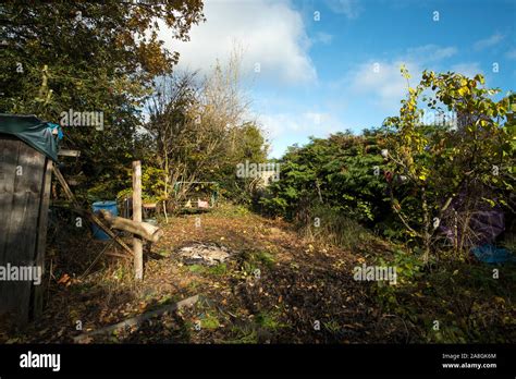 Messy Garden Shed Hi Res Stock Photography And Images Alamy