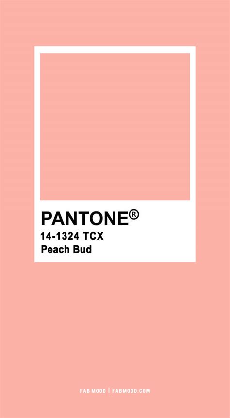 Pantone Pink 1 Fab Mood Wedding Colours Wedding Themes Wedding