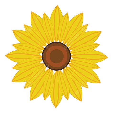 Beautiful Sunflowers Clipart Vector A Beautiful Sunflower Vector Or