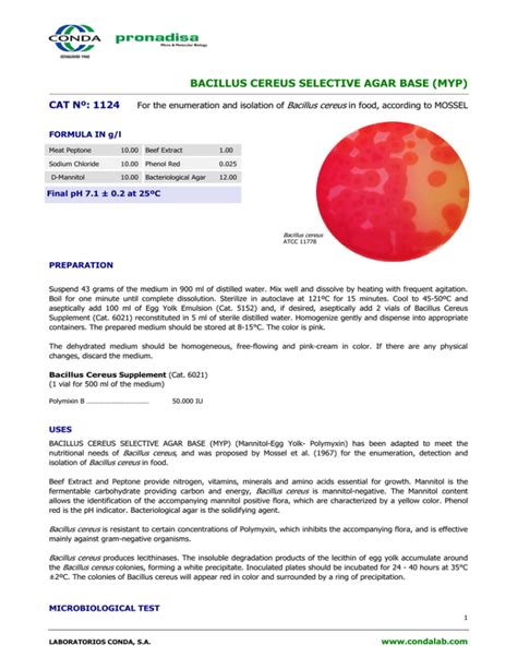Bacillus Cereus Selective Agar Base Myp Cat Nº 1124 Bacillus Cereus