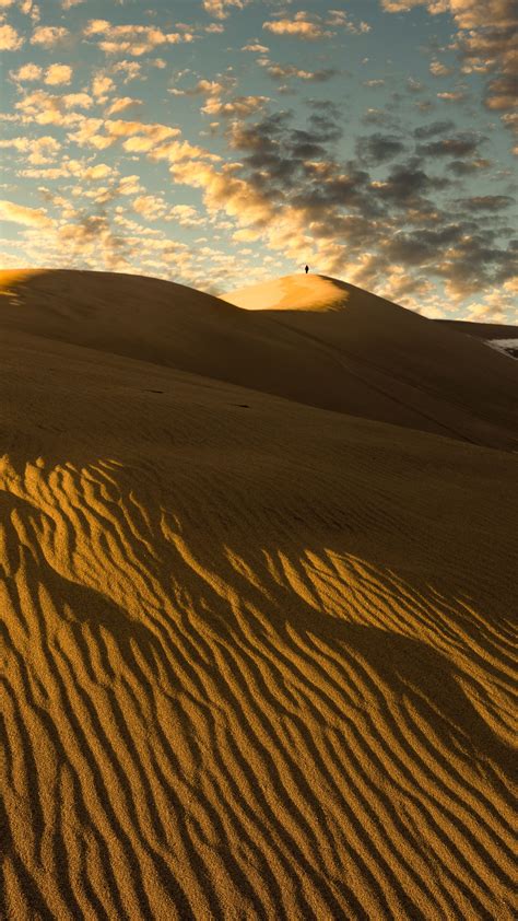 Download Wallpaper 2160x3840 Desert Dunes Sand Silhouette Alone