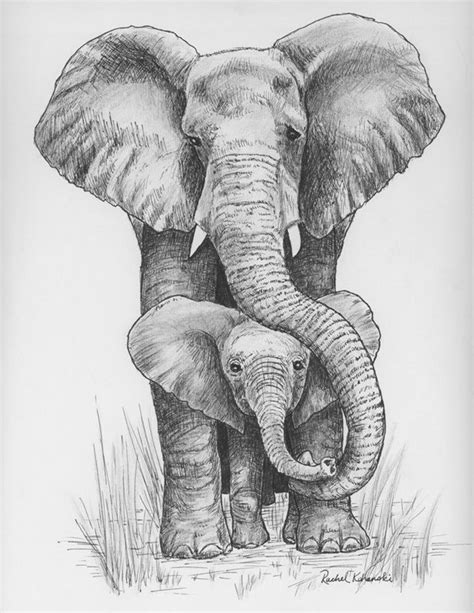 Baby Drawing Ink Pen Drawings Elephant Drawing Elephant