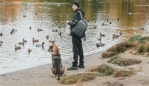 Can Ducks Live With Dogs
