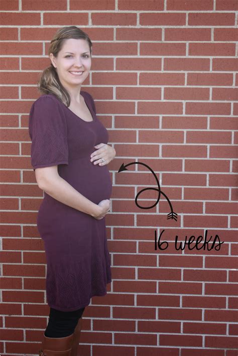 Schenk Sightings 16 Weeks Baby 3