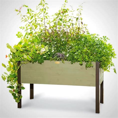 20 Best Indoor Raised Planter Box Bed Gardening