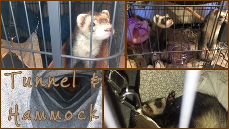 how to make a ferret tunnel and hammock youtube