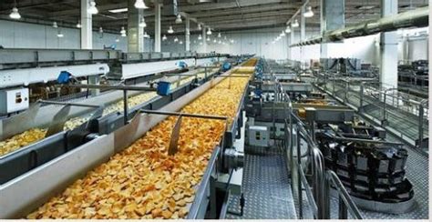 Policy Measures To Support Food Processing Sector Indian Industry Plus