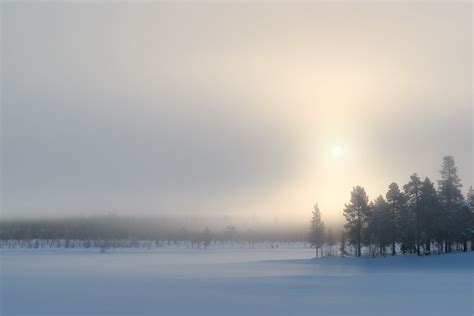Arctic Mist A Winter Sunset In A Swedish Boreal Forest Nio Photography