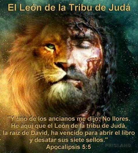 El León Vencedor Tribu De Judá Guerreros De Cristo Imagen De Cristo