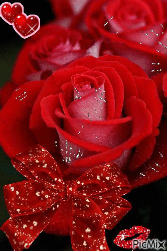 Animated Photo Beautiful Roses Beautiful Flower Arrangements Rose