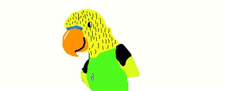 Animated Budgie By Shimmerpaw103 On Deviantart