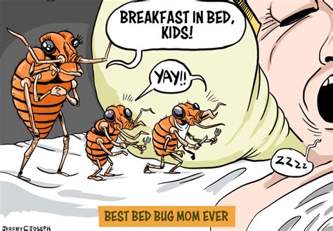 Dont Let The Bedbugs Bite Combat Pest Control Services