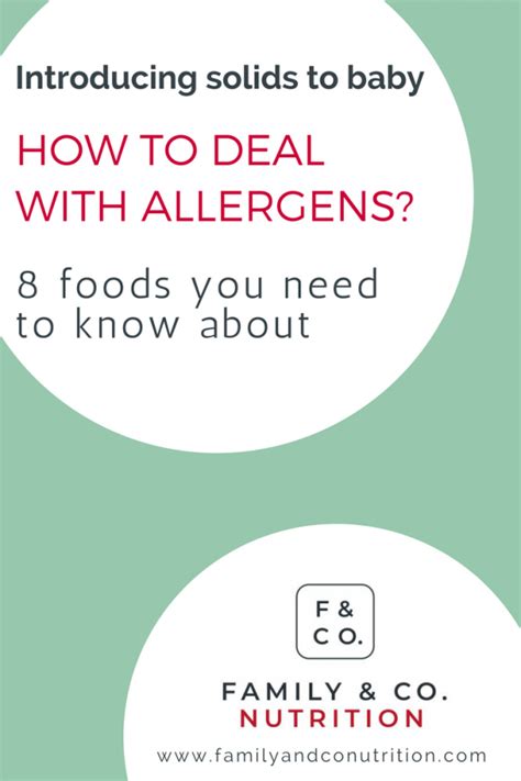 How To Introduce Allergenic Foods To Baby Free Allergen Safety Guide
