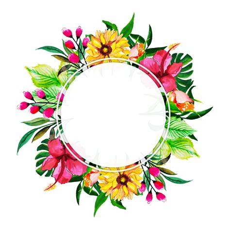Floral Frame Png Transparent Image Download Size 1000x1000px