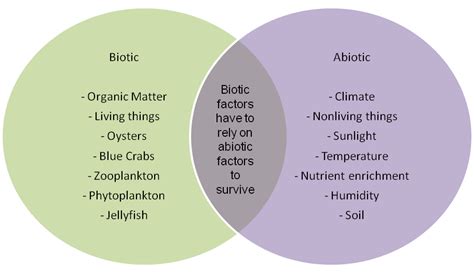What Are Some Examples Of Biotic Factors In An Ecosystem Socratic