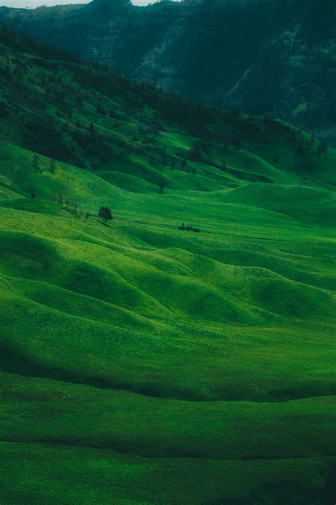 Green Pastures Pictures Download Free Images On Unsplash