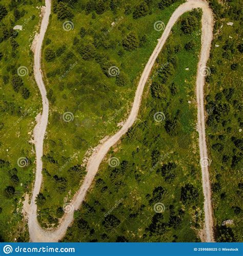 Aerial View Of Dirt Road Winding Through Lush Green Vegetation In The