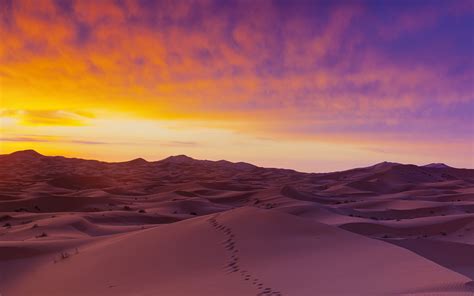 Sahara Desert S Dunes Wallpapers Wallpapers Hd