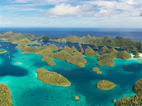 Researchers Confirm Rare Manta Ray Nursery In Raja Ampat Islands In