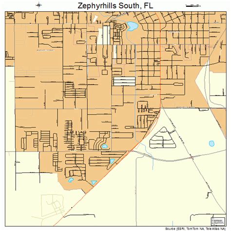 Zephyrhills South Florida Street Map 1279237