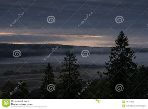 Sunrise Over The Pine Forest Stock Image Image Of