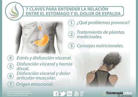 7 Claves Para Entender La Relación Entre El Estómago Y El Dolor De