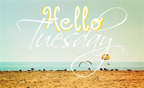 Happy Tuesday Coastal Lovers ~ Happy Tuesday Morning Qoutes Tuesday