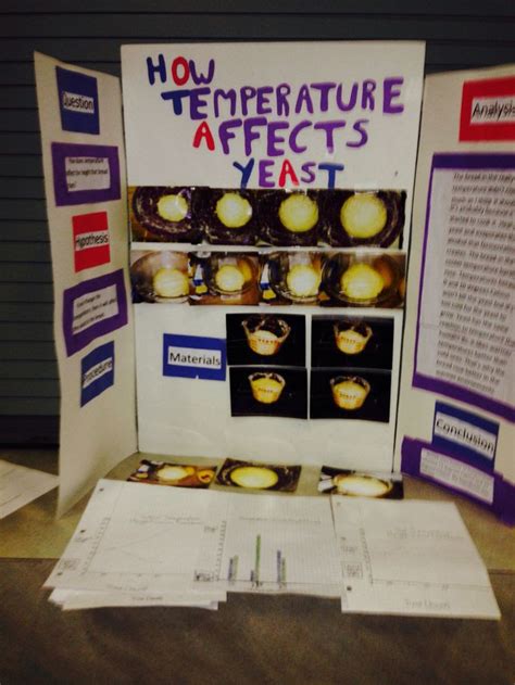 Science Fair Ideas For 7th Grade All You Need Infos