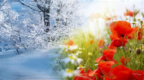 Winter To Spring Wallpapers Wallpaper Cave